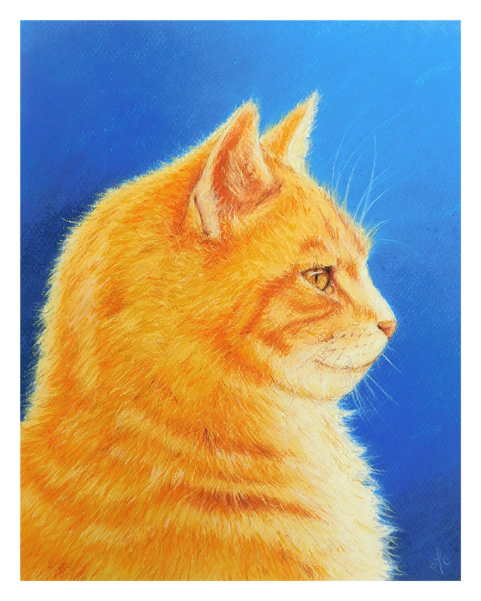 portraits animaliers, portrait animal de compagnie, tableau, pastel, portrait pastel, portrait chat roux, cadeau personnalisé