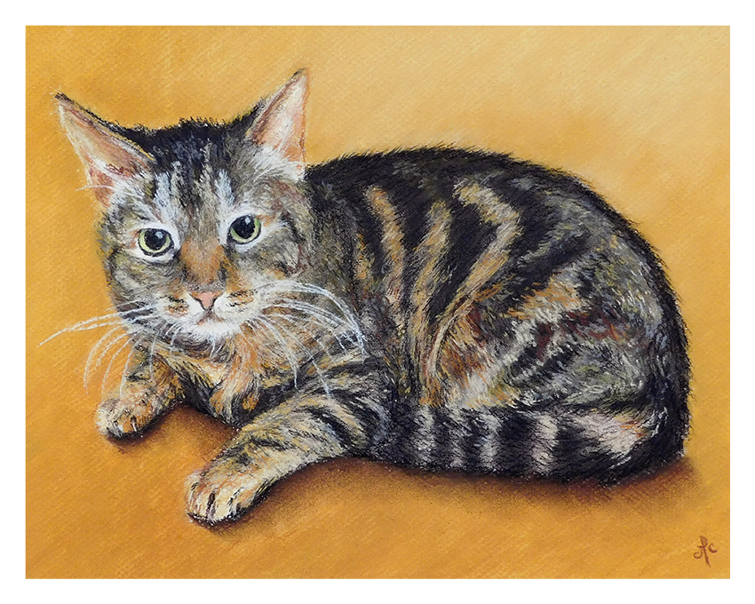 portraits animaliers, portrait animal personnalisé, tableaux, pastel, chat tigre