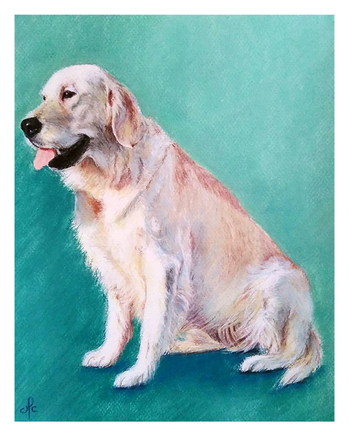 portrait animaux personnalisé, tableaux pastel, chien golden