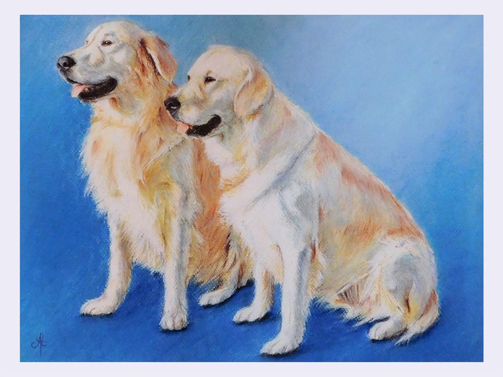portraits animaliers, portrait animal de compagnie, tableau, pastel, portrait pastel, portrait chiens, golden retriever, pastel, cadeau personnalisé, portraits animaux