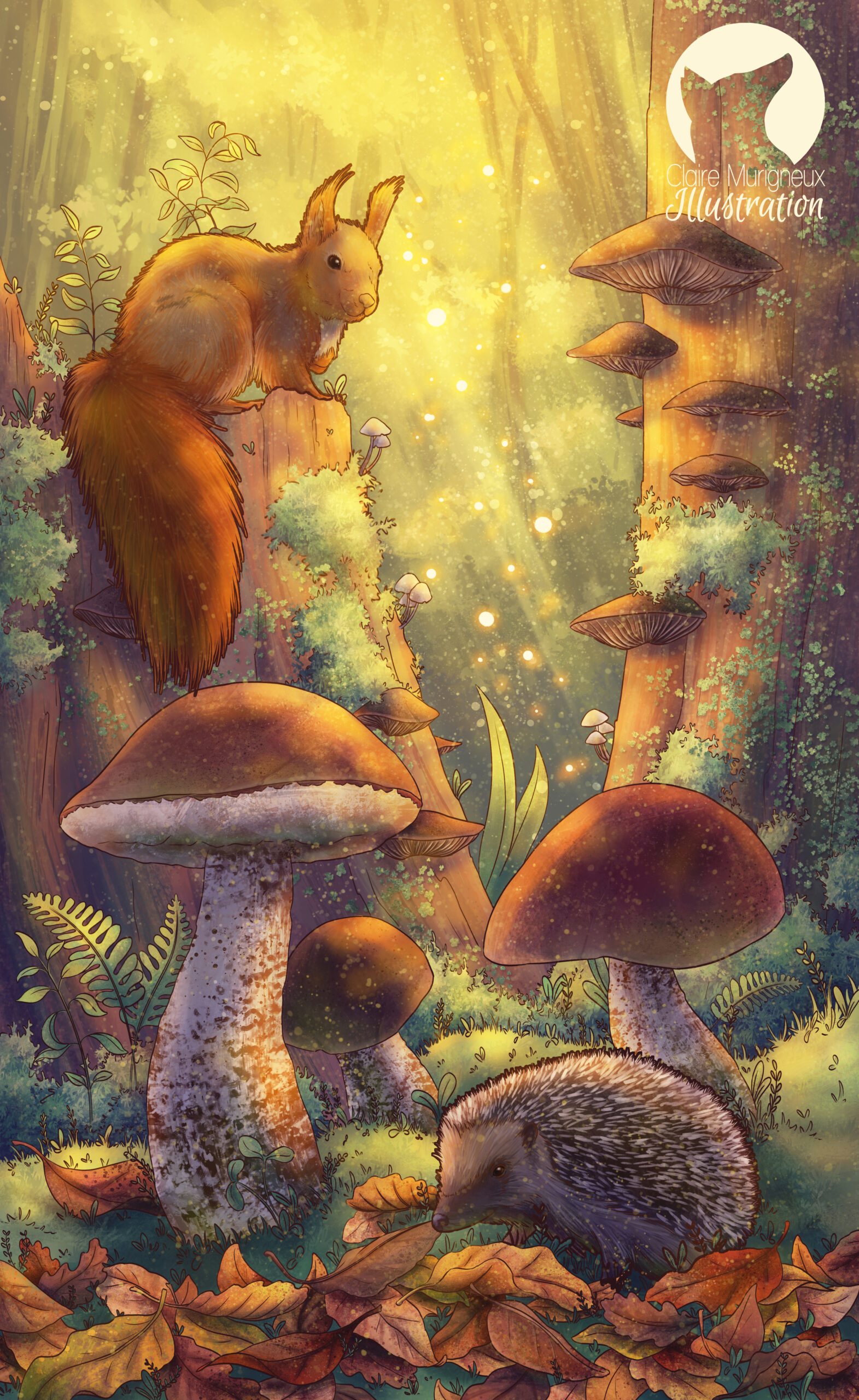 recherche illustrateur illustratrice, illustration, forêt, magie, champignons, herisson, ecureuil