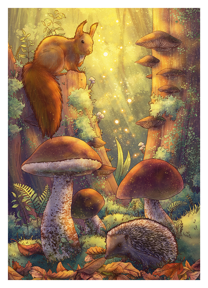 cherche illustrateur jeunesse illustratrice carte illustrée d'automne foret ecureuil herisson champignon