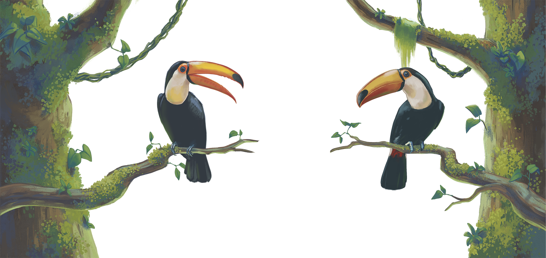 Arbres toucans